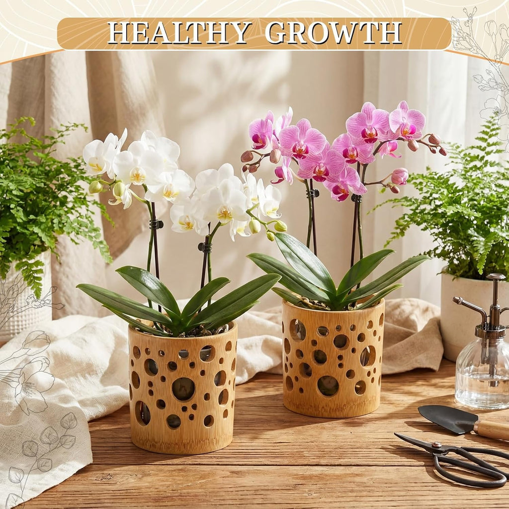 Pot de fleur en bambou ajouré Ø 8 cm pour orchidée et bonsaï