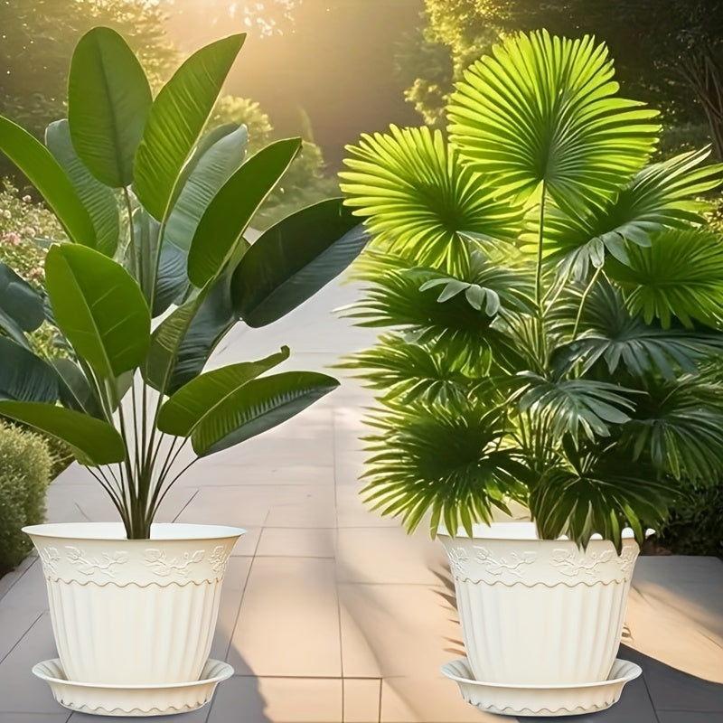 description_selected4