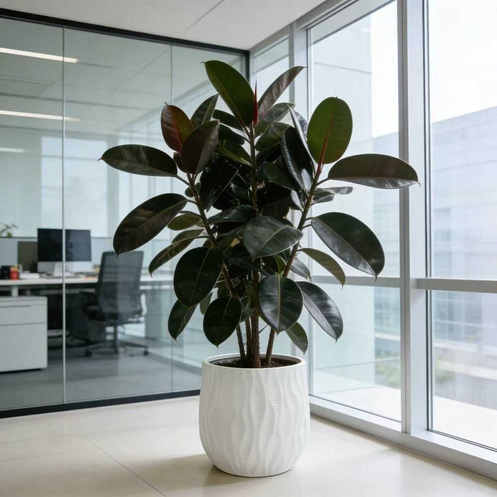 Pot de fleur blanc Ø 30 cm en résine avec trou de drainage