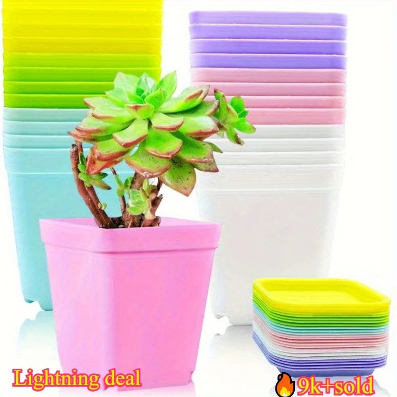 description_selected1