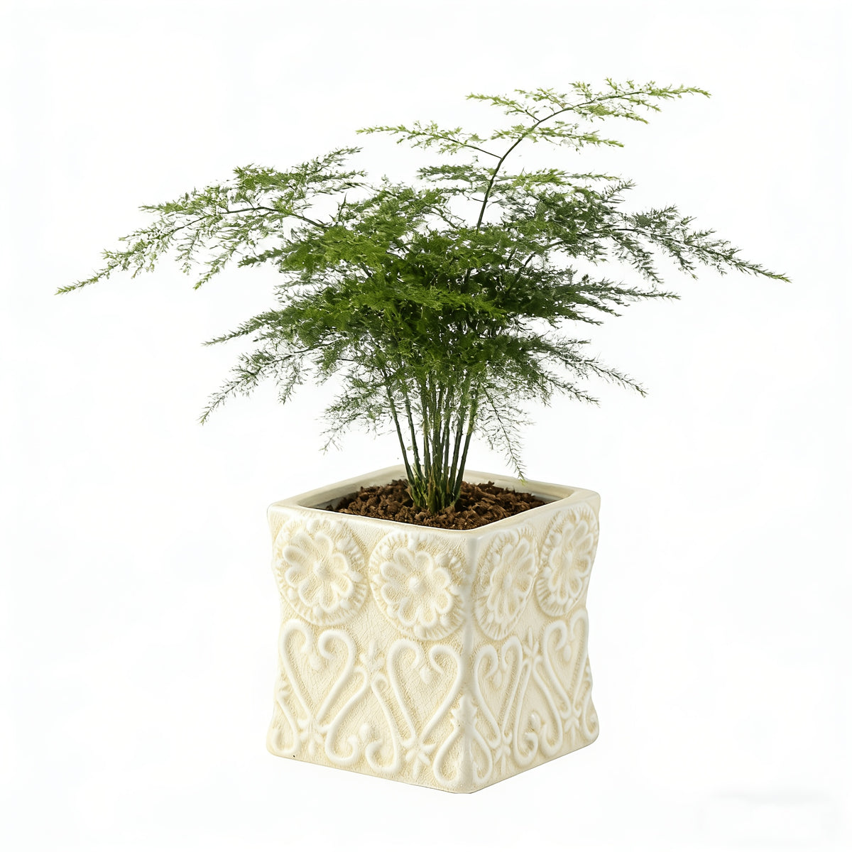 description_selected1 Image