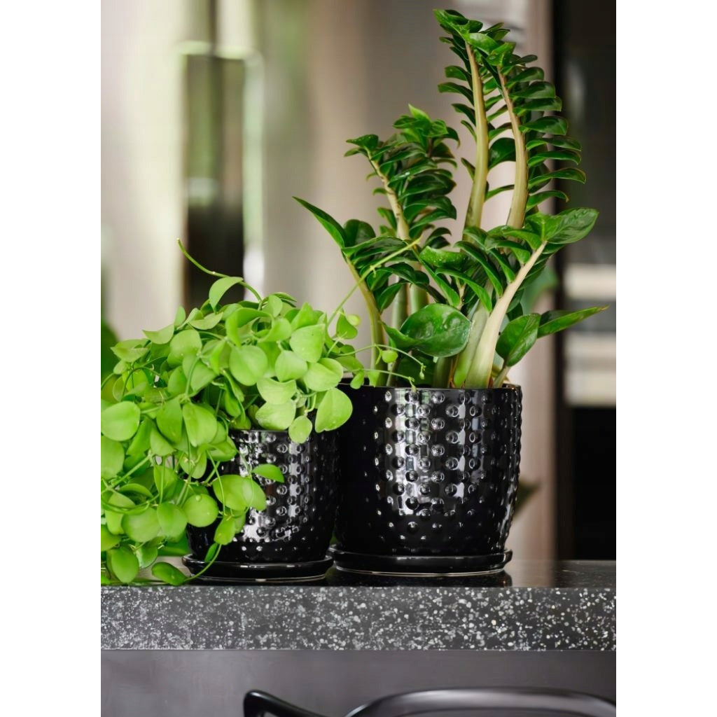 Pot de fleur en céramique rouge Ø 15 cm, soucoupe incluse