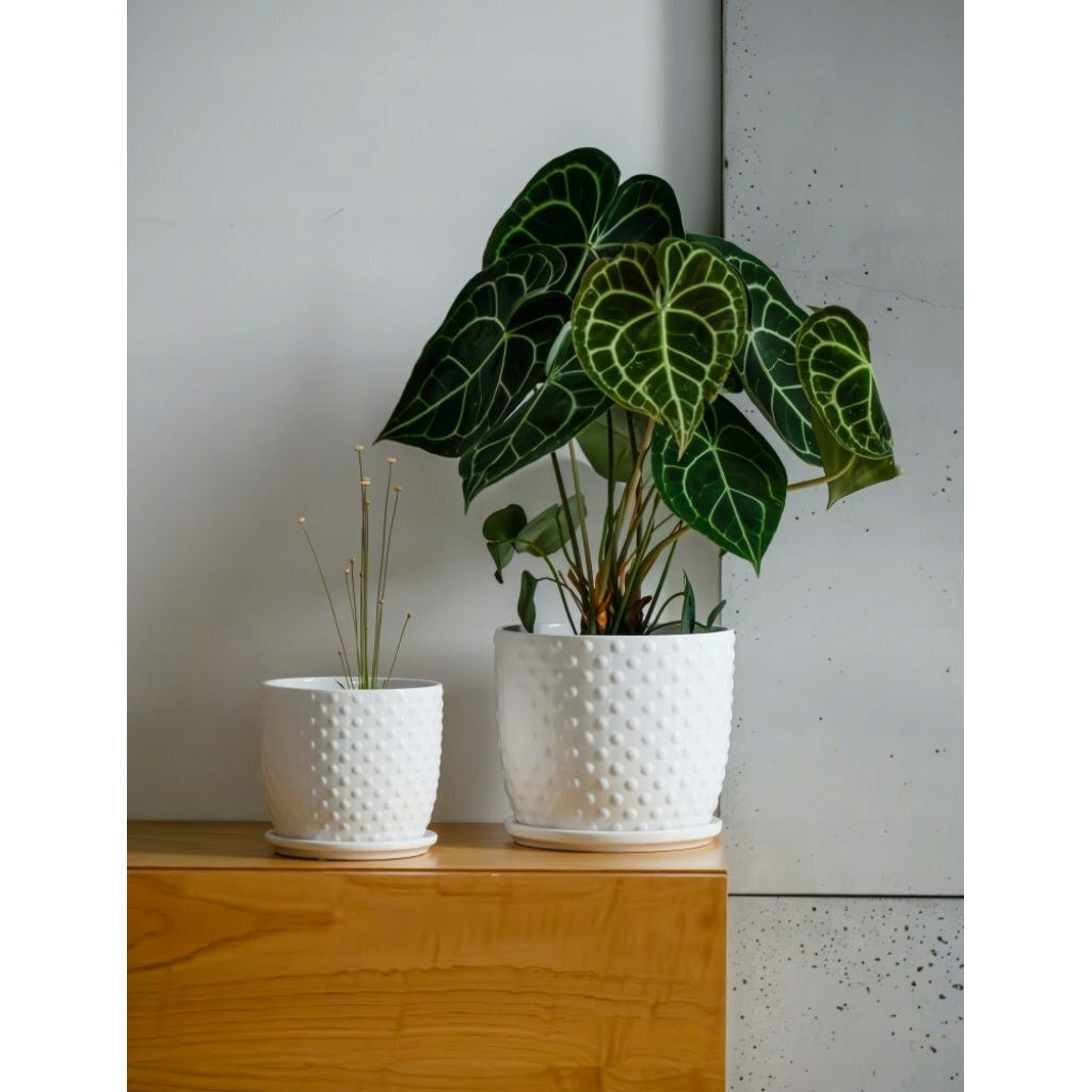 Pot de fleur en céramique rouge Ø 15 cm, soucoupe incluse