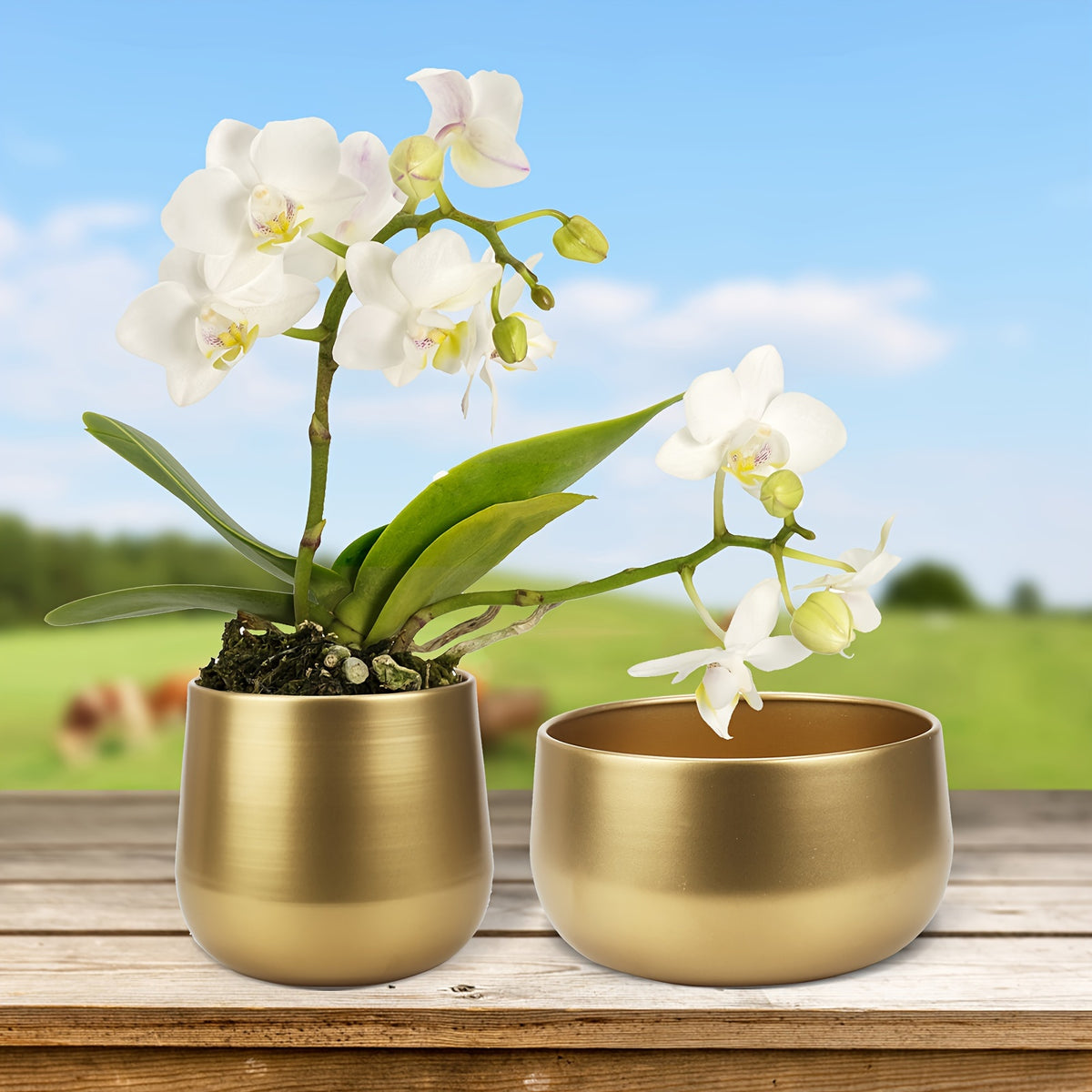 Pot de fleur doré en métal Ø 16 cm avec trou de drainage
