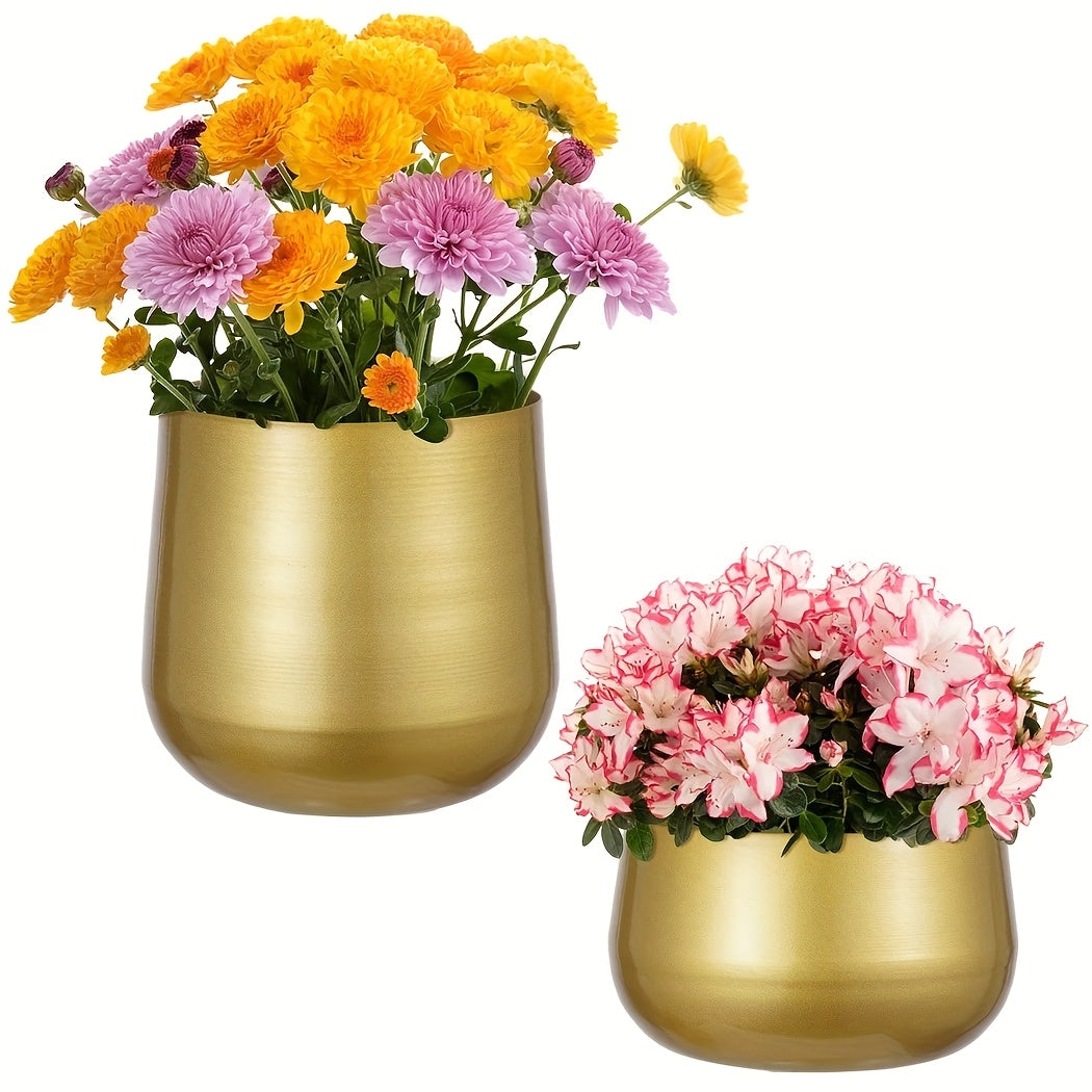 2 pièces Image