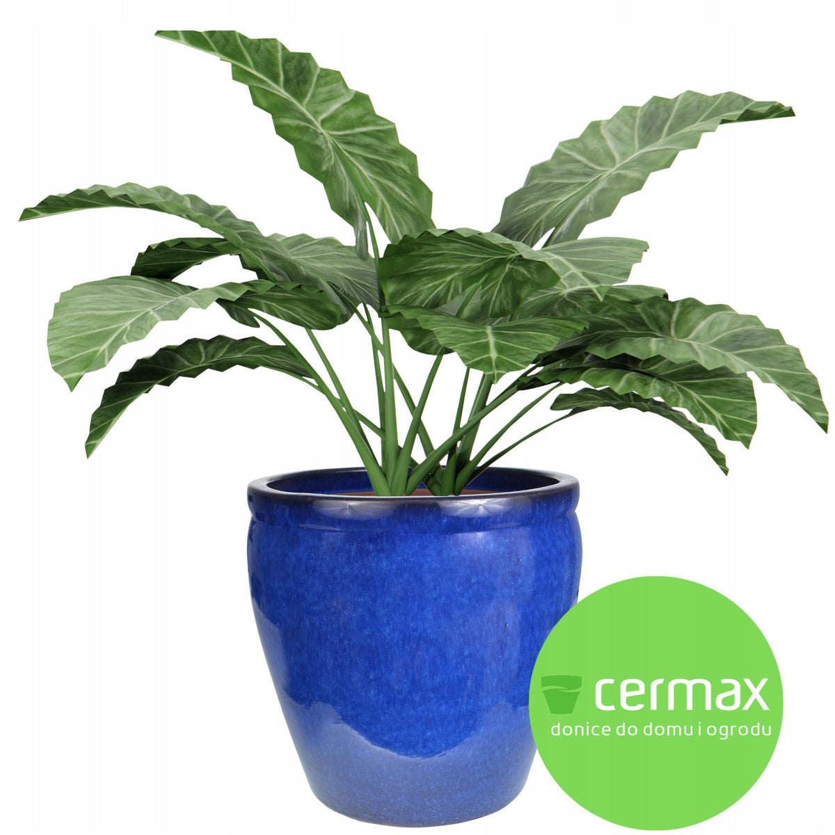 Pot de fleur extérieur en céramique bleue Ø 26 cm résistant au gel