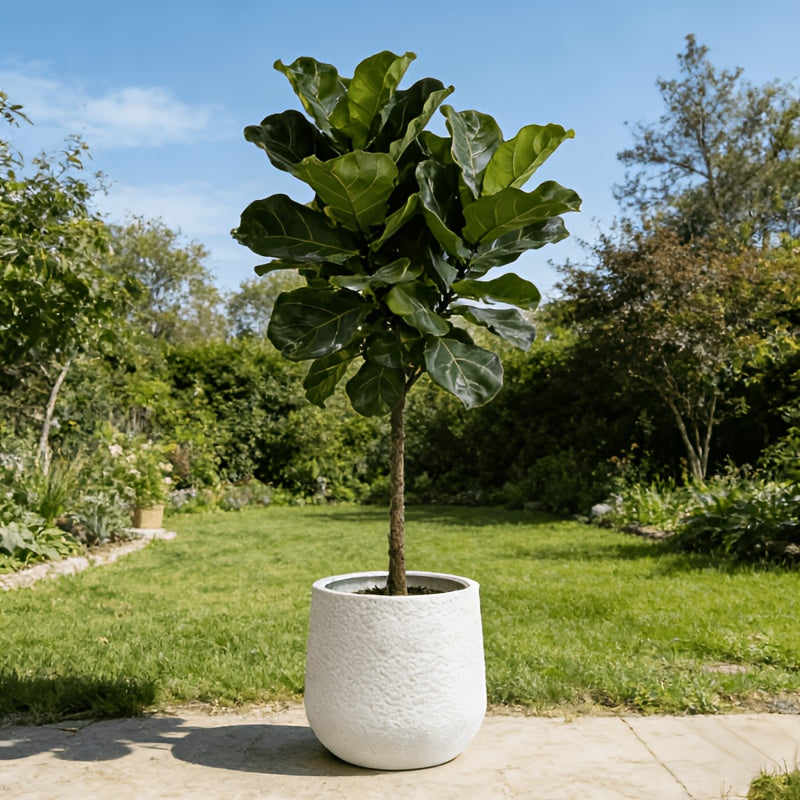 Grand Pot de Fleur Premium (Blanc)