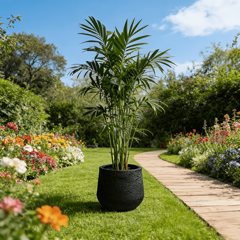 Grand Pot de Fleur Premium (Noir) Image