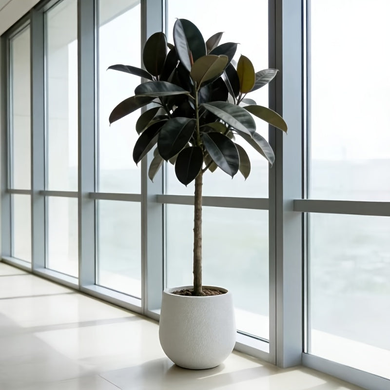 Pot de fleur extérieur en résine Ø 27 cm, blanc ou noir
