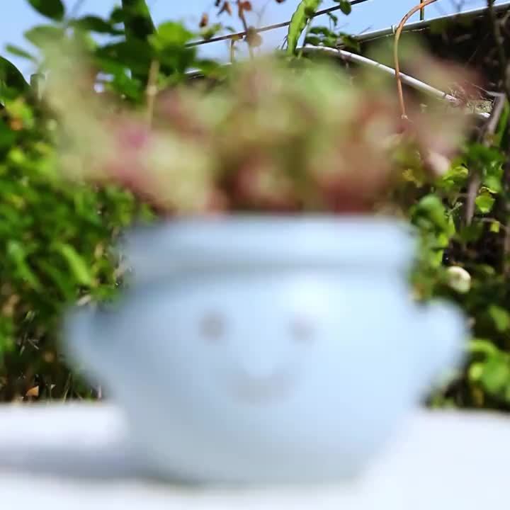 Pot de fleur extérieur en résine Ø 12 cm — visage souriant