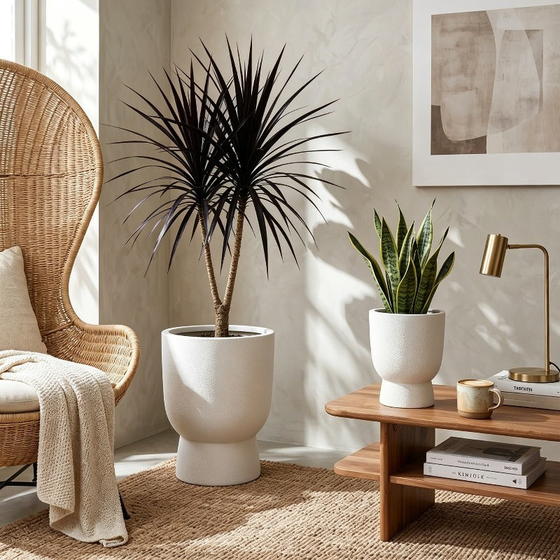 Pot de fleur d'intérieur beige Ø 27 cm avec trou de drainage