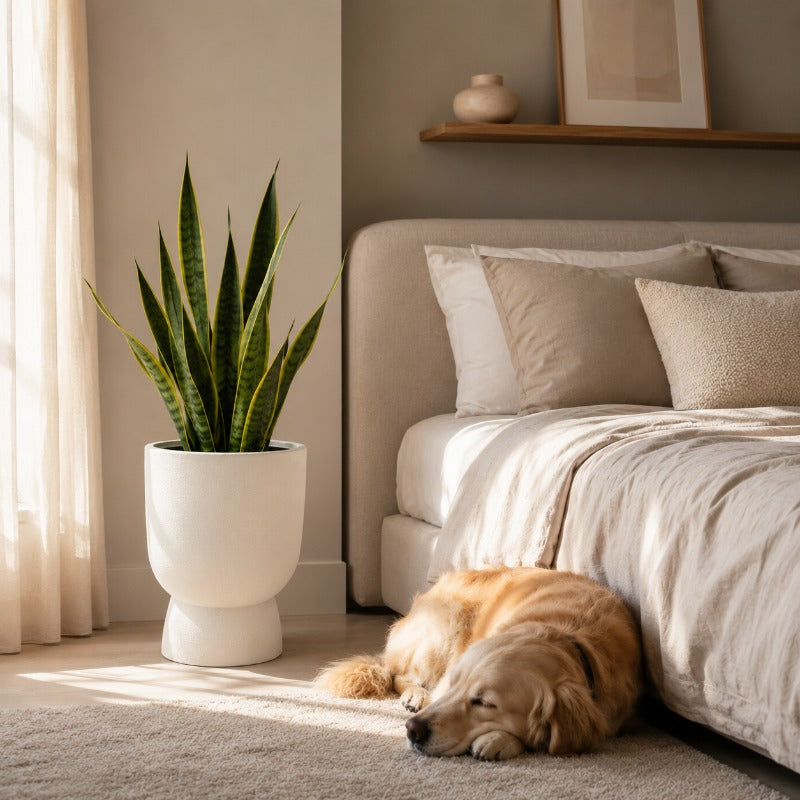 Pot de fleur d'intérieur beige Ø 27 cm avec trou de drainage