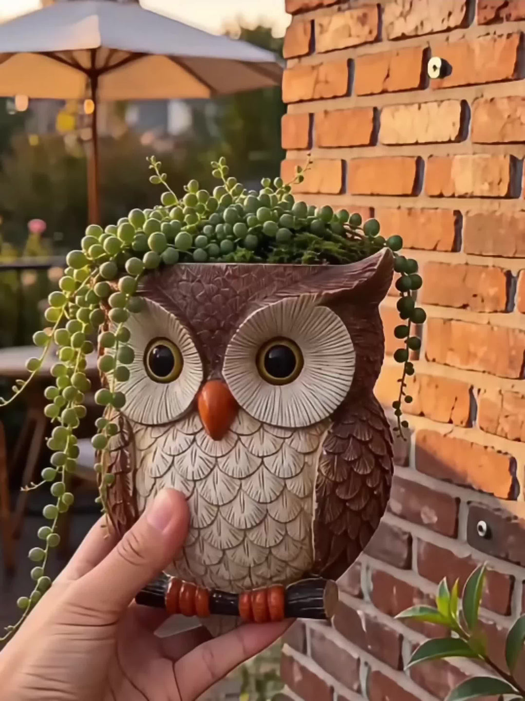 Pot de fleur mural en forme de hibou, résine pour succulentes