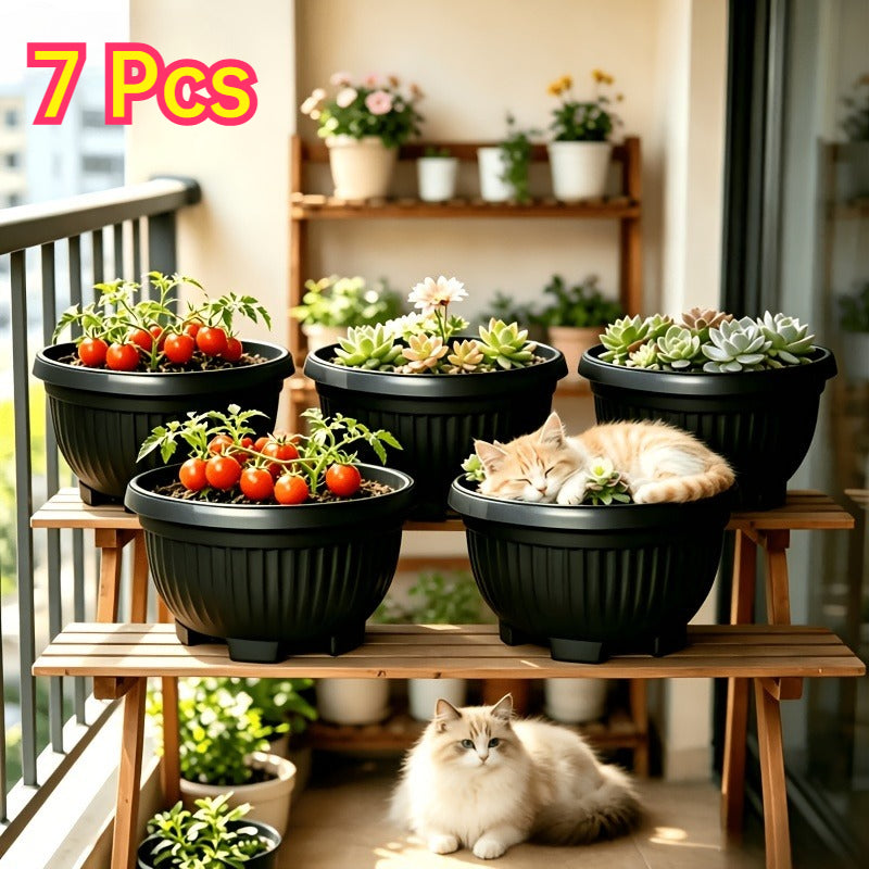 description_selected0