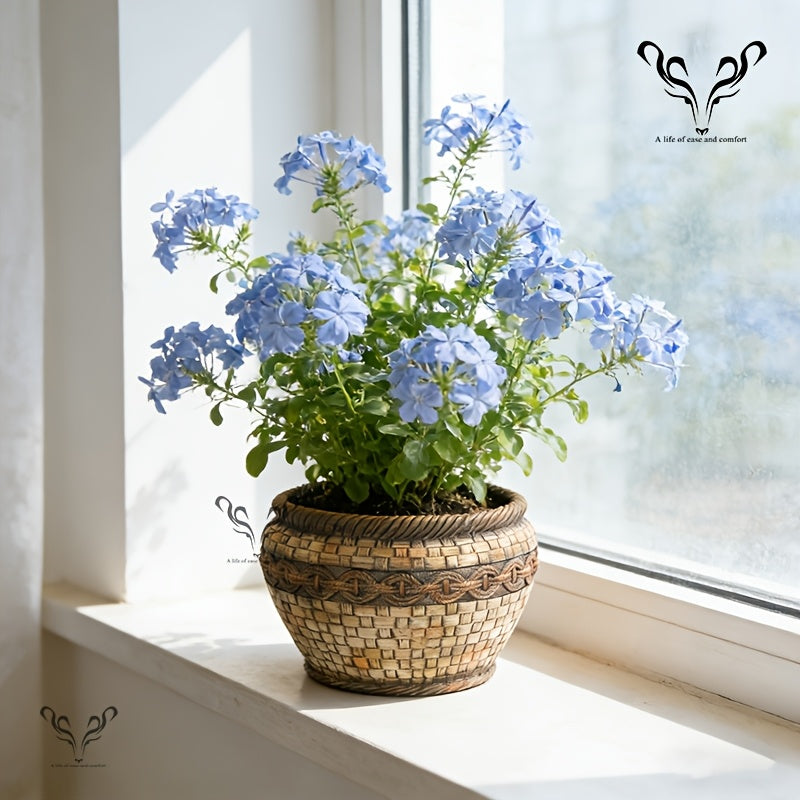 description_selected1
