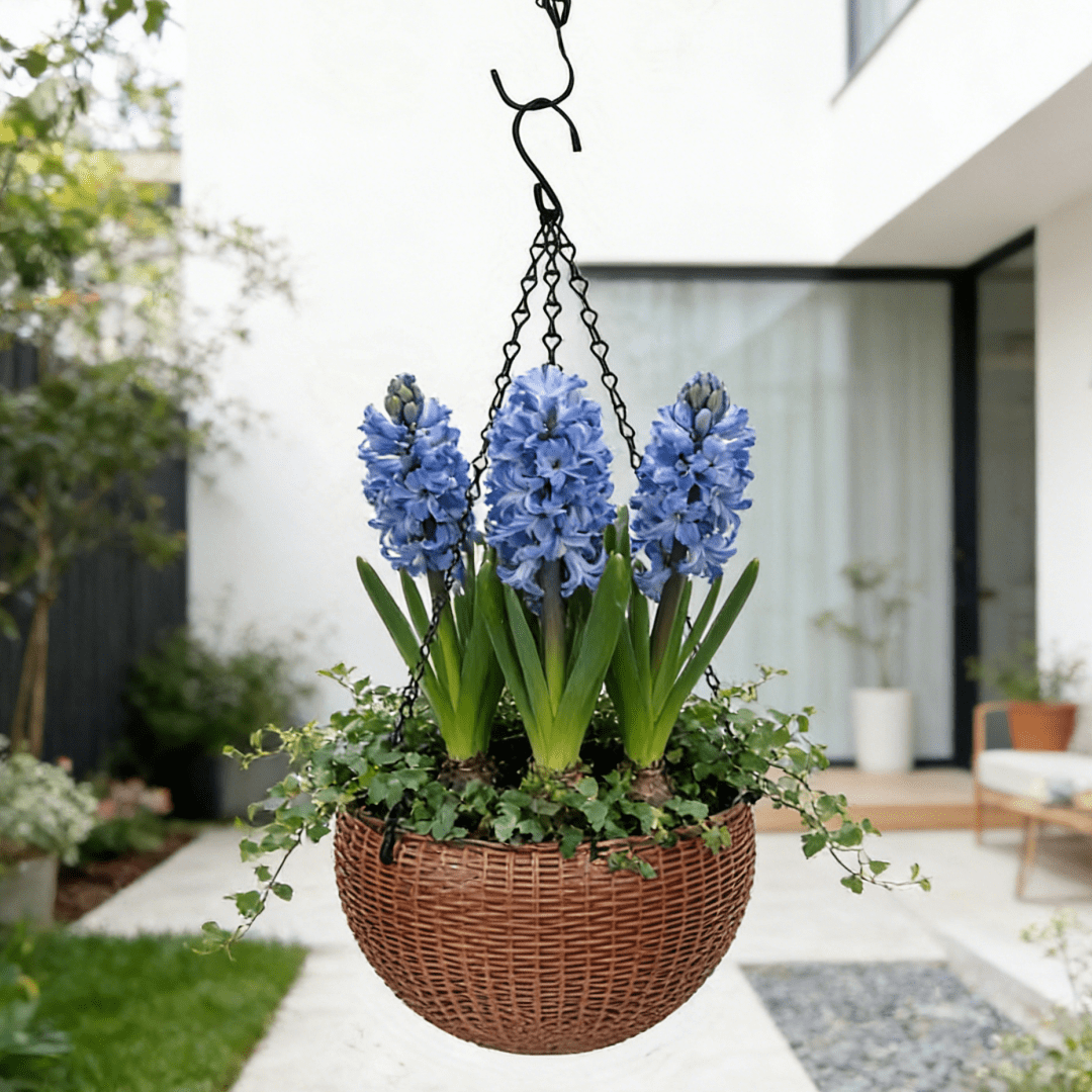 Pot de fleur suspendu noir Ø 17 cm, effet rotin avec drainage