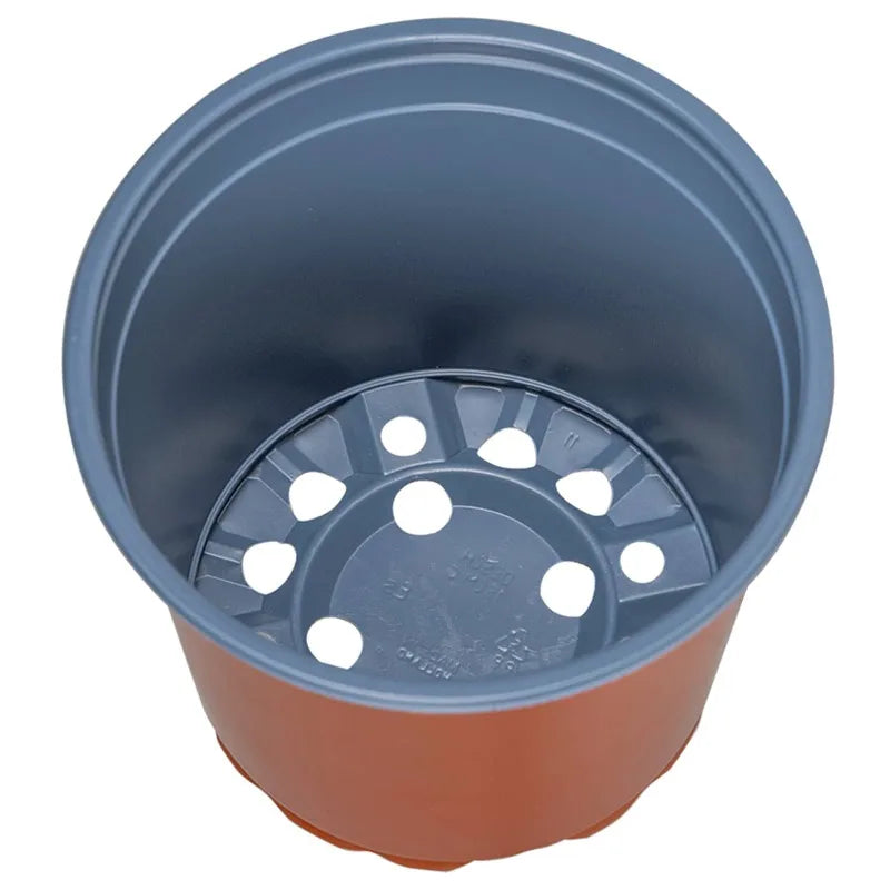 description_selected4 Image