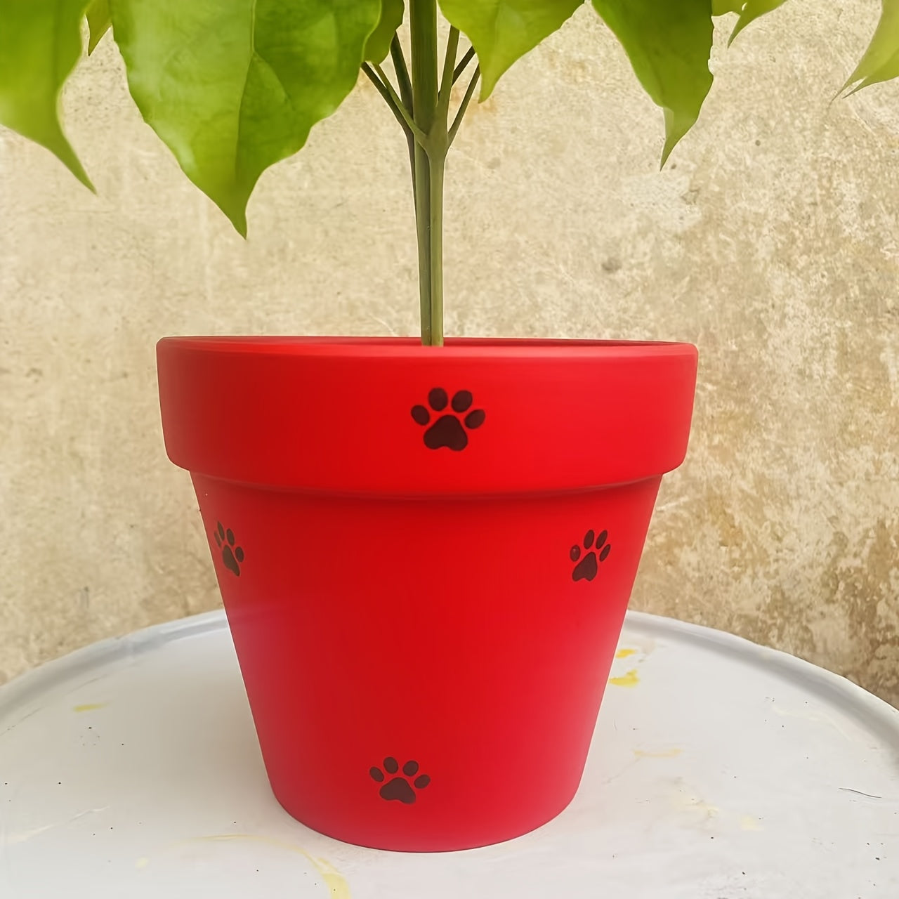 description_selected0 Image