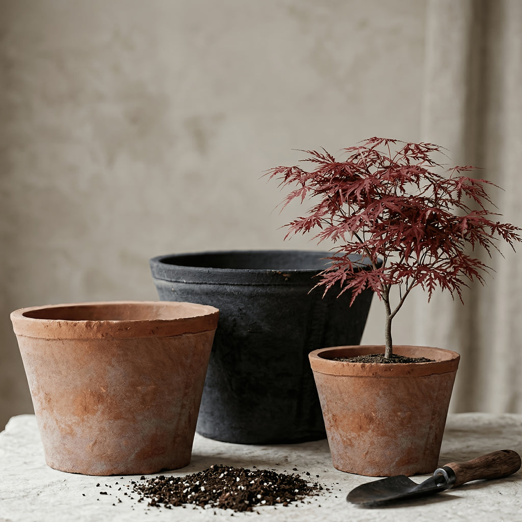 description_selected0