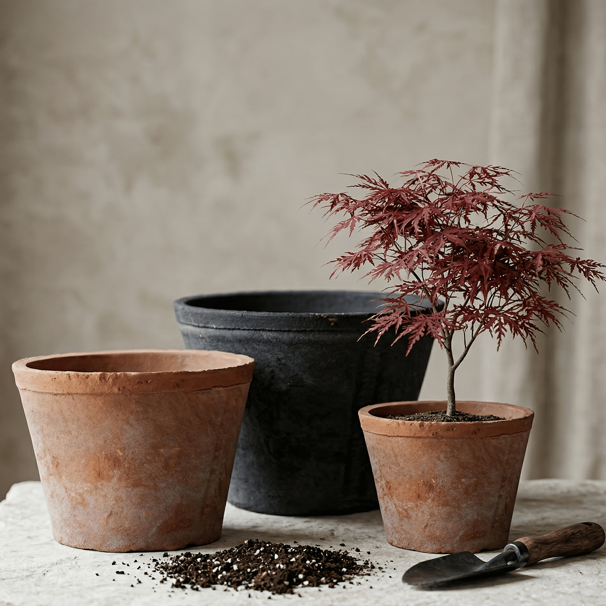 description_selected0 Image