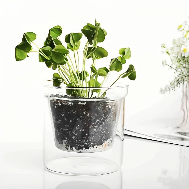 Pot de fleur en verre double paroi Ø 10 cm avec drainage