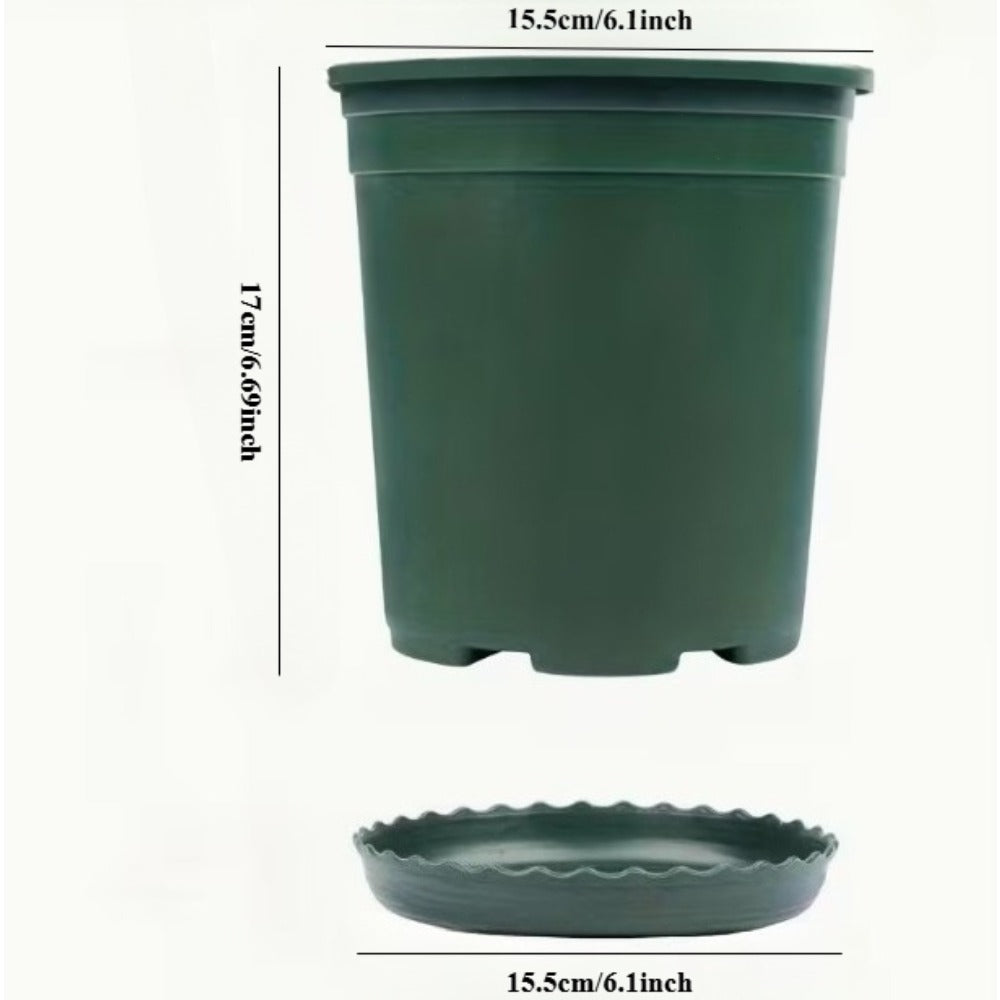 description_selected1