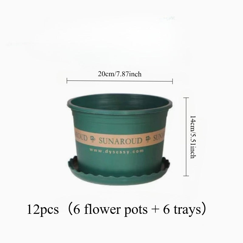 description_selected4