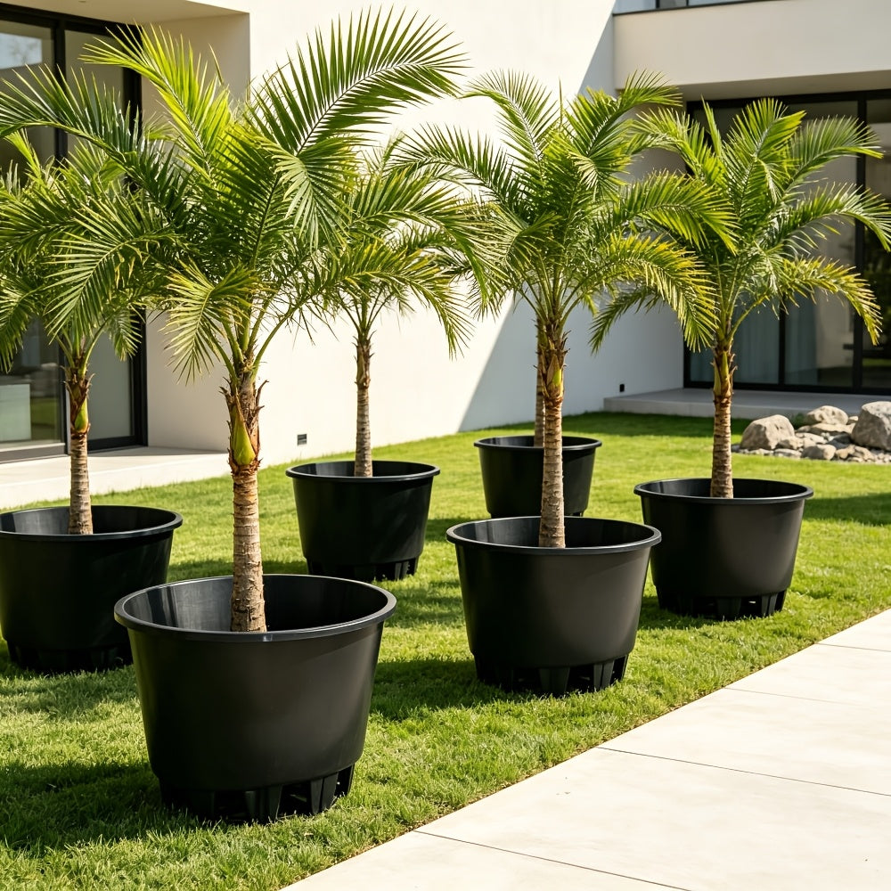 Pot de fleur XXL Ø 43 cm pour arbre et arbuste, lot de 2