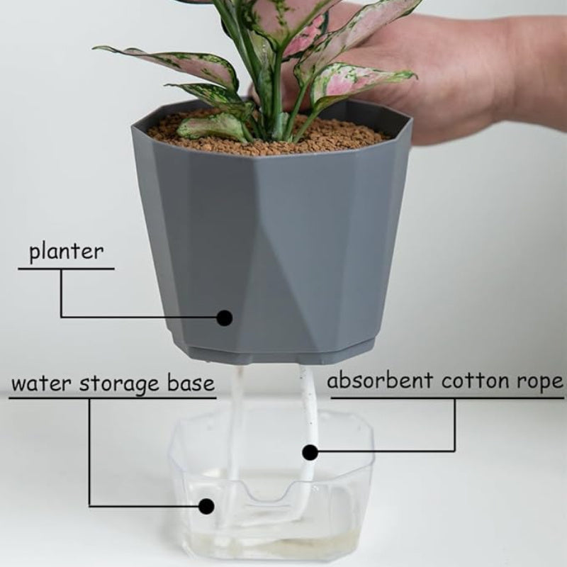 description_selected2