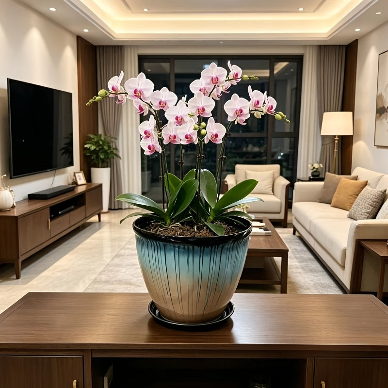 description_selected4