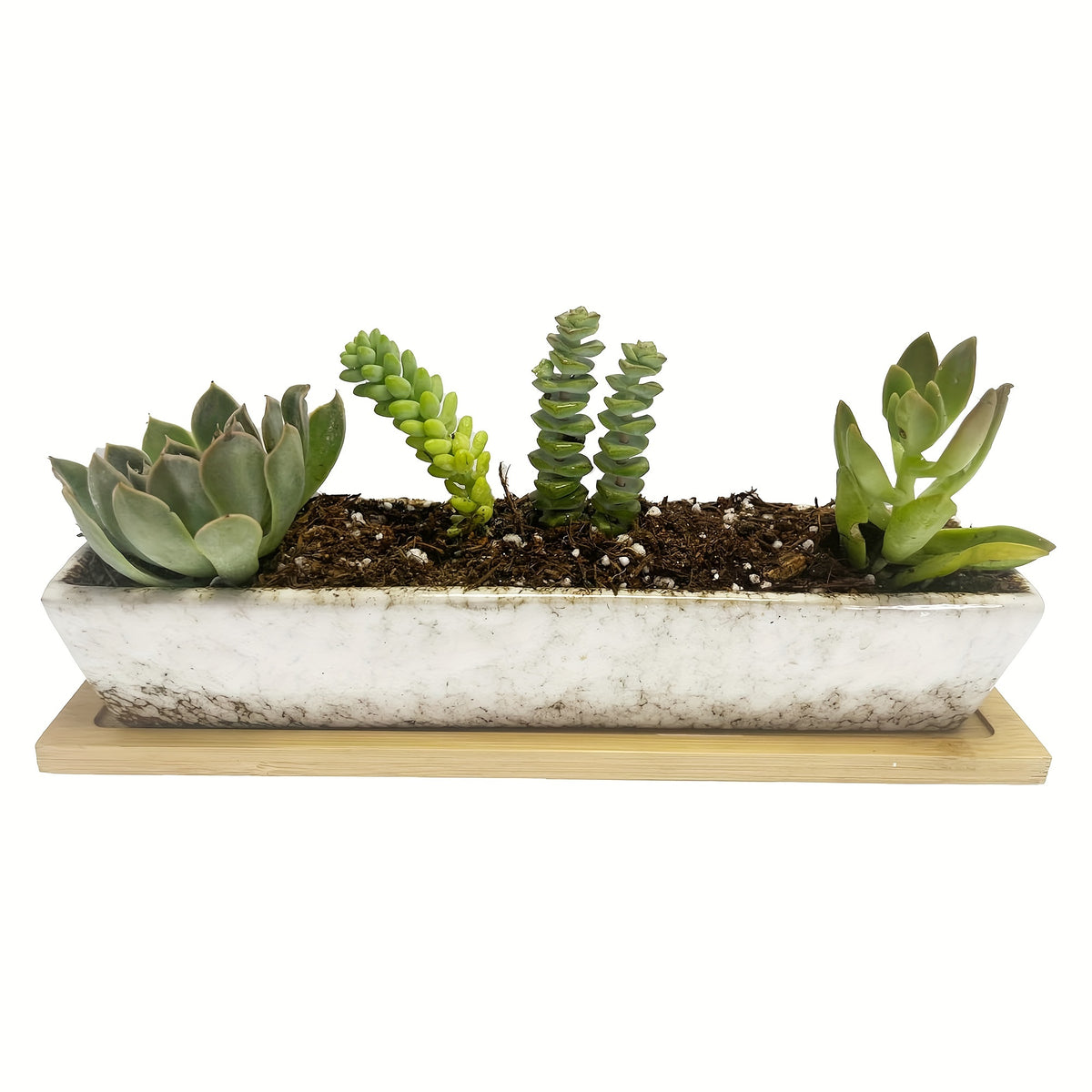 Pot de fleur rectangulaire céramique 25 cm avec soucoupe bambou