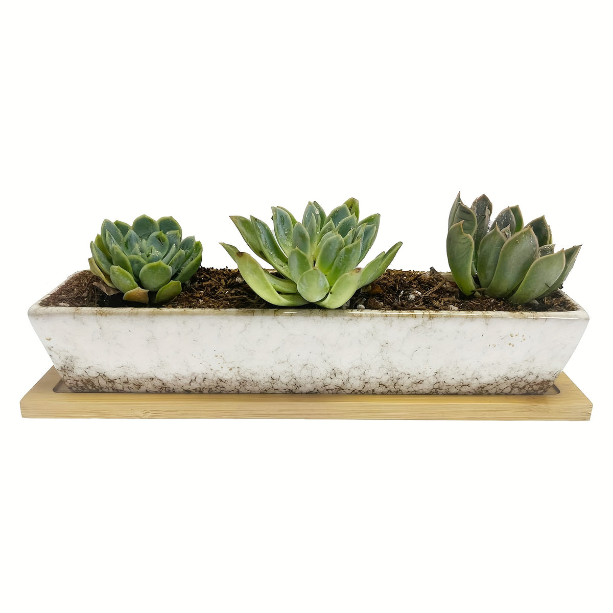 Pot de fleur rectangulaire céramique 25 cm avec soucoupe bambou