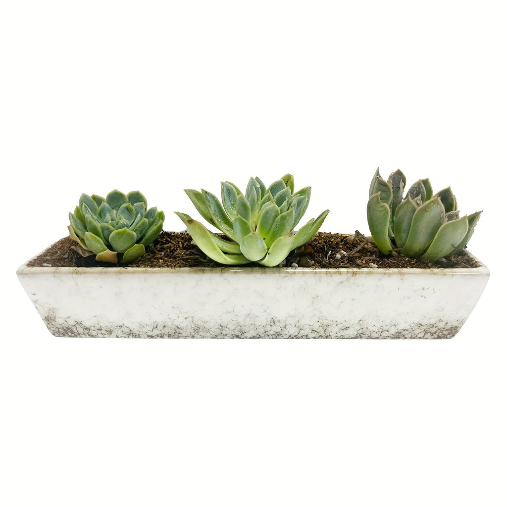 Pot de fleur rectangulaire céramique 25 cm avec soucoupe bambou