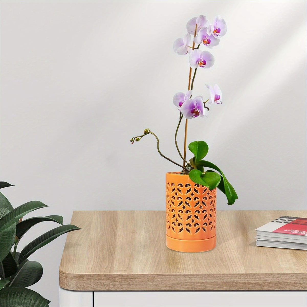 Pot  orchides en cramique pots  orchides avec trous pot de plante pour repotage pot de fleurs pour intrieur et extrieur pot de jardinage  orchides  fentes respirantes cadeau de dcoration intrieure