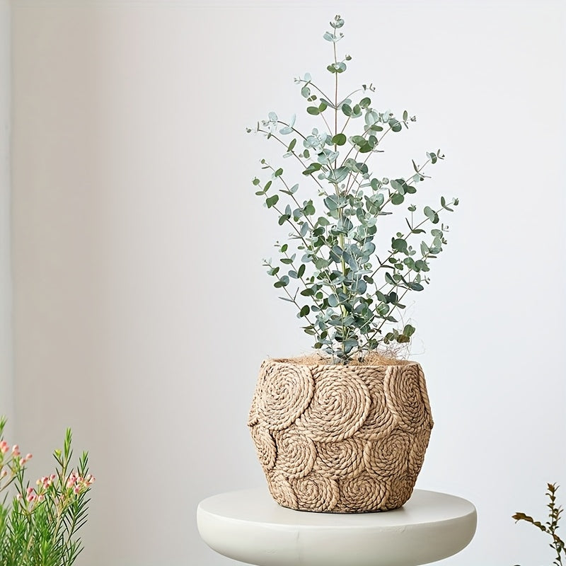 Pots de fleurs cratifs en ciment de style pastoral ensemble de pots vintage pour plantes vertes dintrieur cadeau de jardinage en gros dcoration dintrieur
