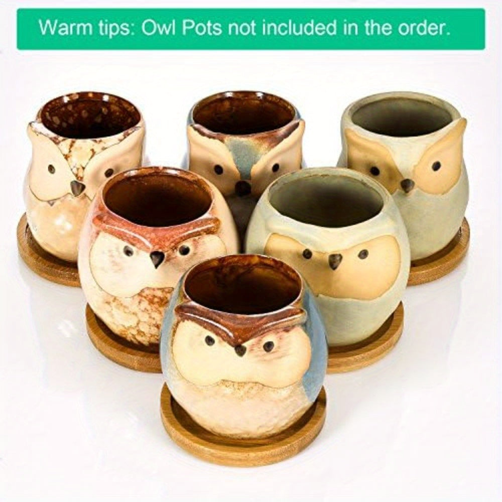 Soucoupe en bambou Ø 8 cm — lot de 12 pour petits pots de fleurs