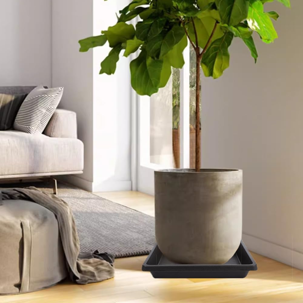 Soucoupe carrée noire pour plante — lot de 6, 3 tailles