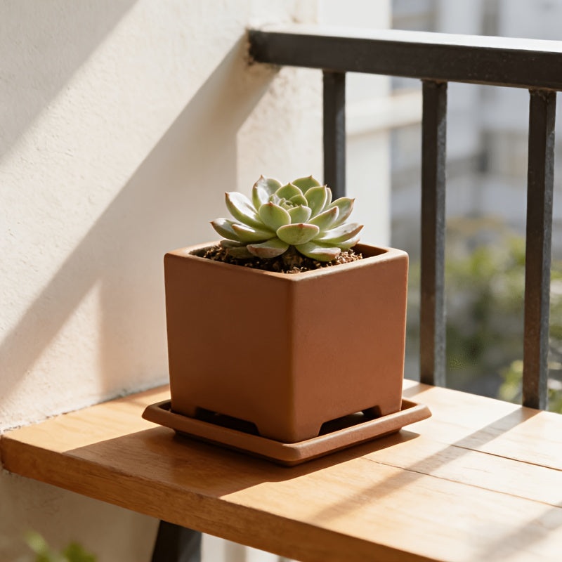 Soucoupe carrée terracotta 30x30 cm — lot de 12 en plastique