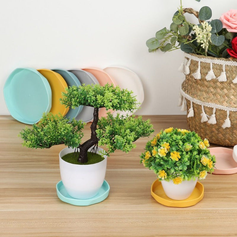 Soucoupe pour pot de fleur Ø 11 cm — lot de 6 multicolore