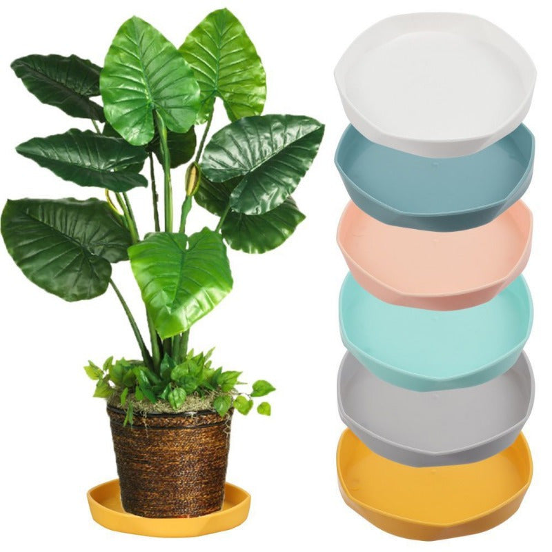 Soucoupe pour pot de fleur Ø 11 cm — lot de 6 multicolore