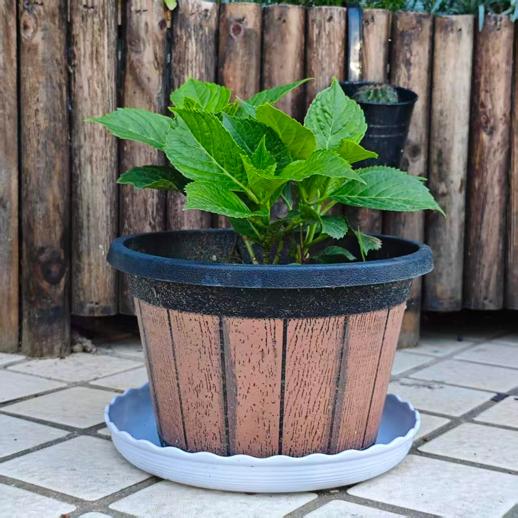 Soucoupes pour pot de fleur ondulées blanches - lot de 12