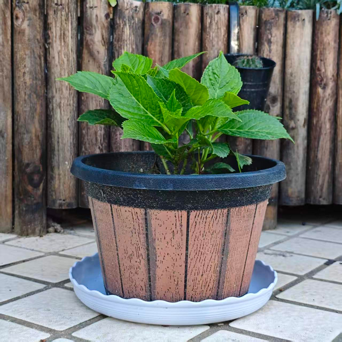 Soucoupes pour pot de fleur ondulées blanches - lot de 12