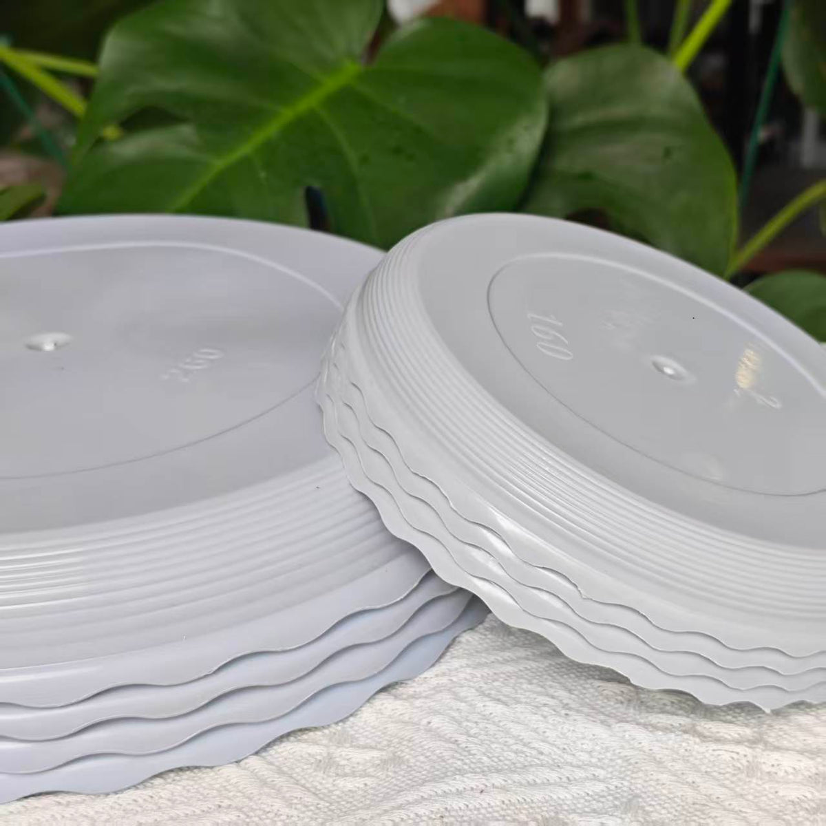 Soucoupes pour pot de fleur ondulées blanches - lot de 12