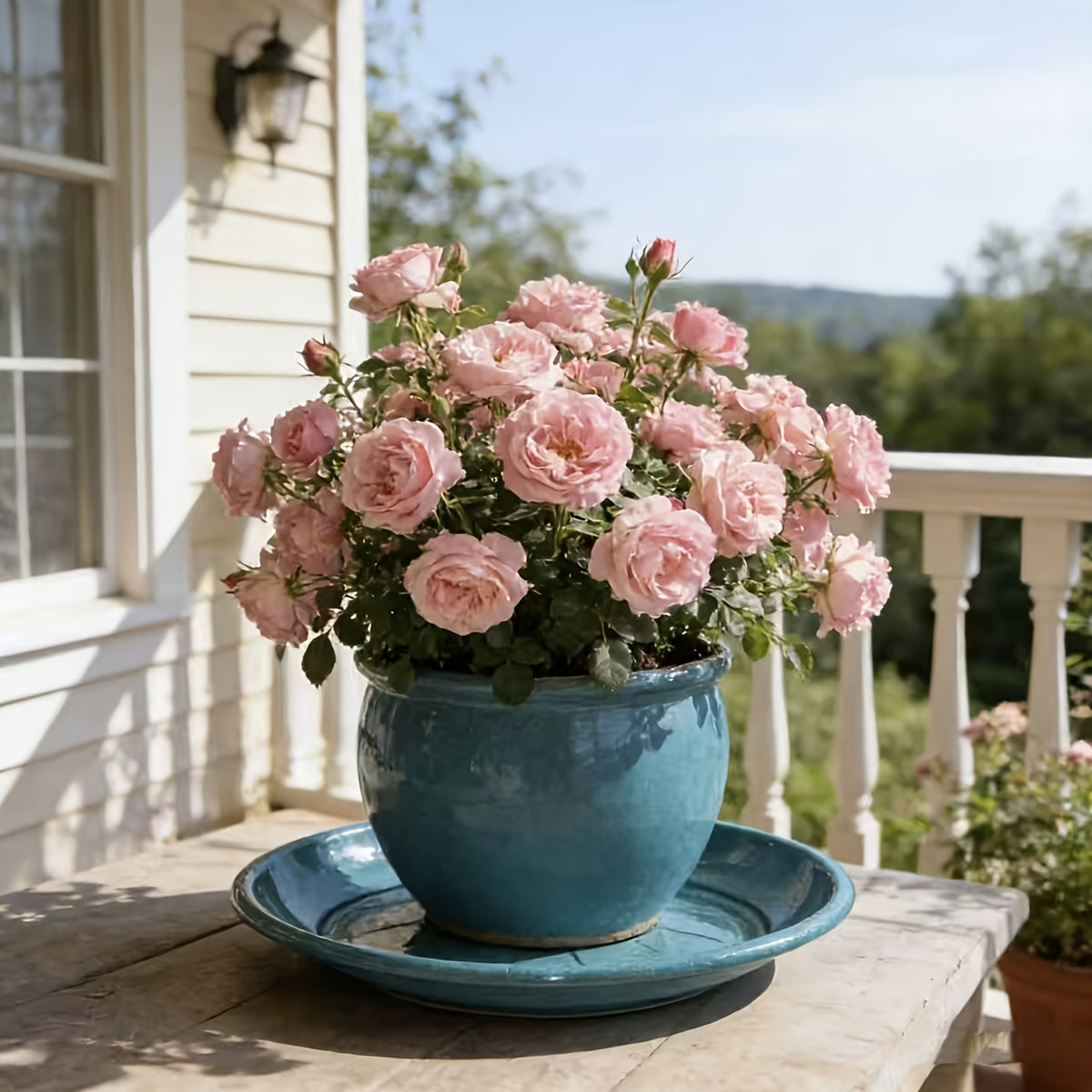 Soucoupe pour pot de fleur ronde Ø 25 cm bleu, lot de 12 pièces