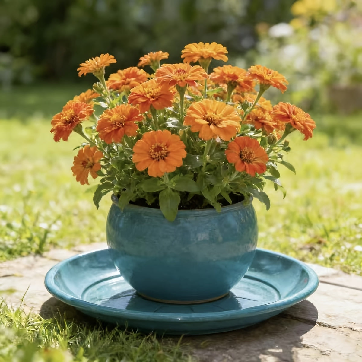 Soucoupe pour pot de fleur ronde Ø 25 cm bleu, lot de 12 pièces