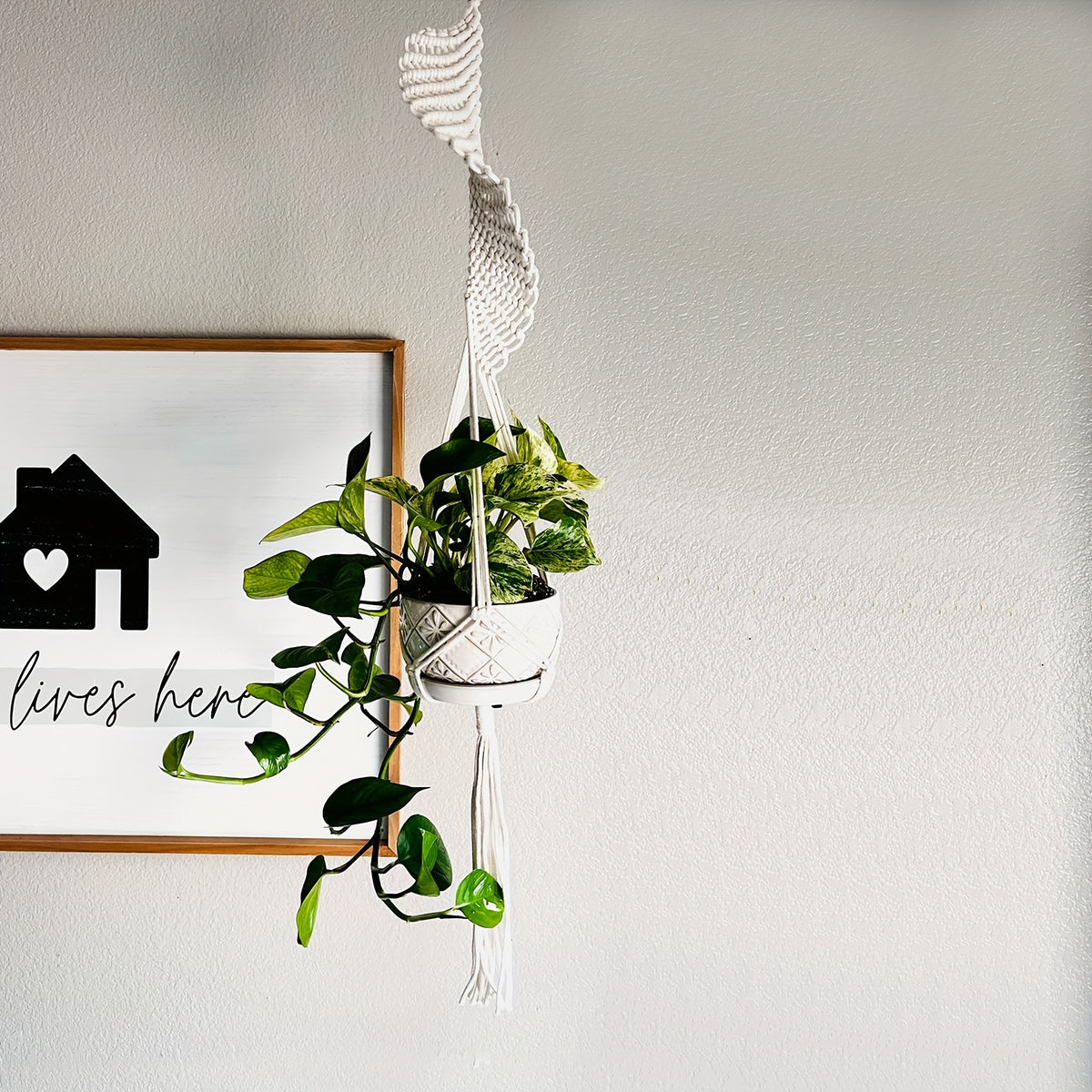 Suspension pour plante en macramé à franges — lot de 3 modèles